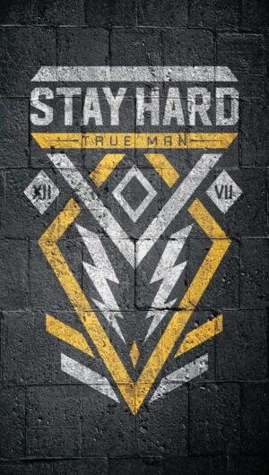 Great HD Quote Stay Hard iPhone Wallpaper
