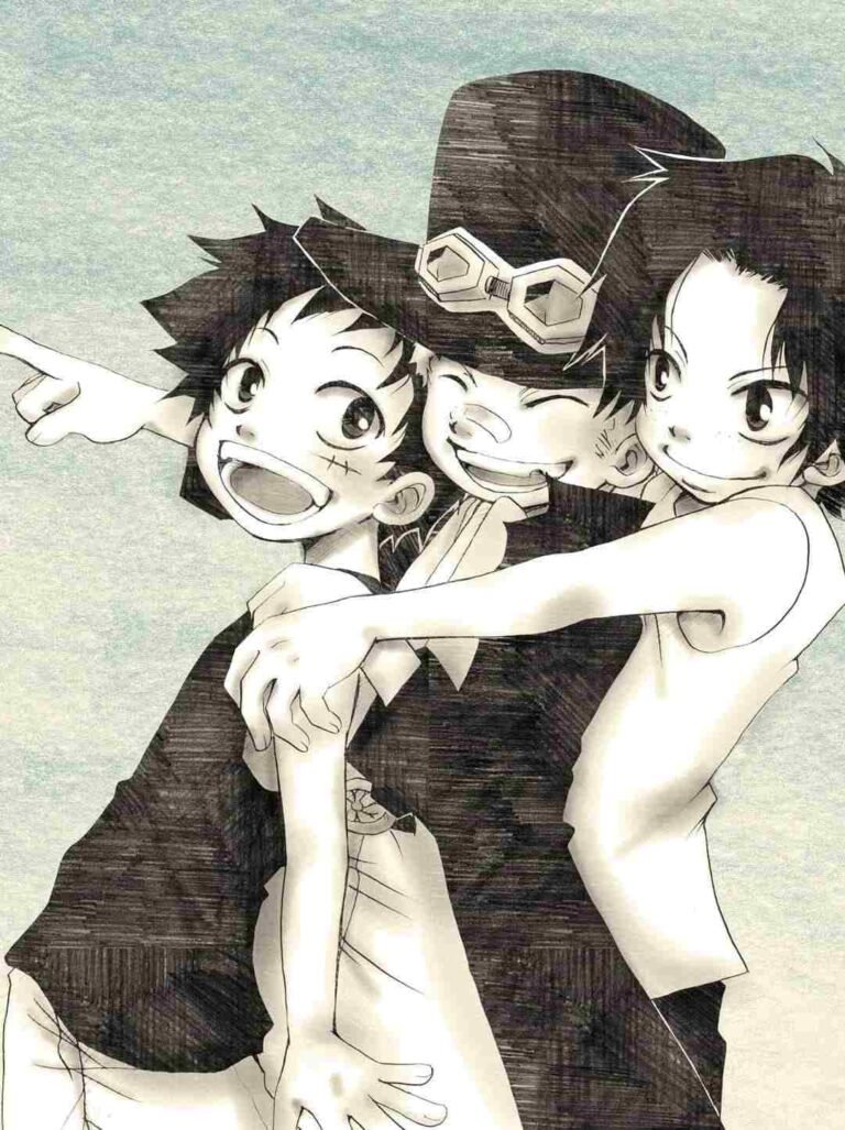 HD wallpaper one piece ace monkey d luffy Anime One Piece HD Art iphone 13 wallpaper