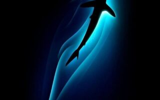 iPhone Wallpaper 720x1600 Wallpaper HD for All Phone 003