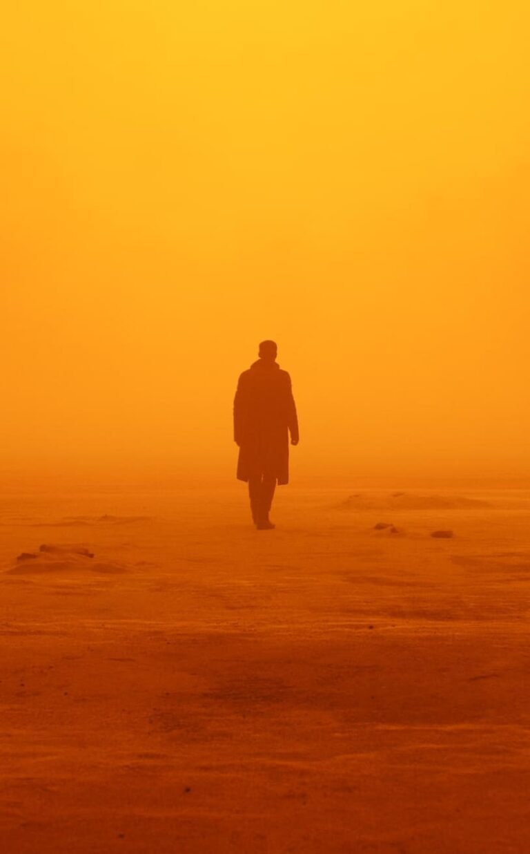 iphone 13 wallpaper Blade Runner 2049 movies men actor Ryan Gosling Officer K