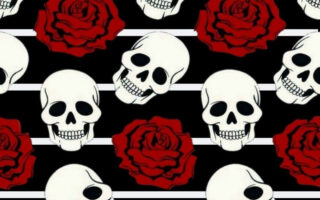 HD Horror flor red Emo iPhone background