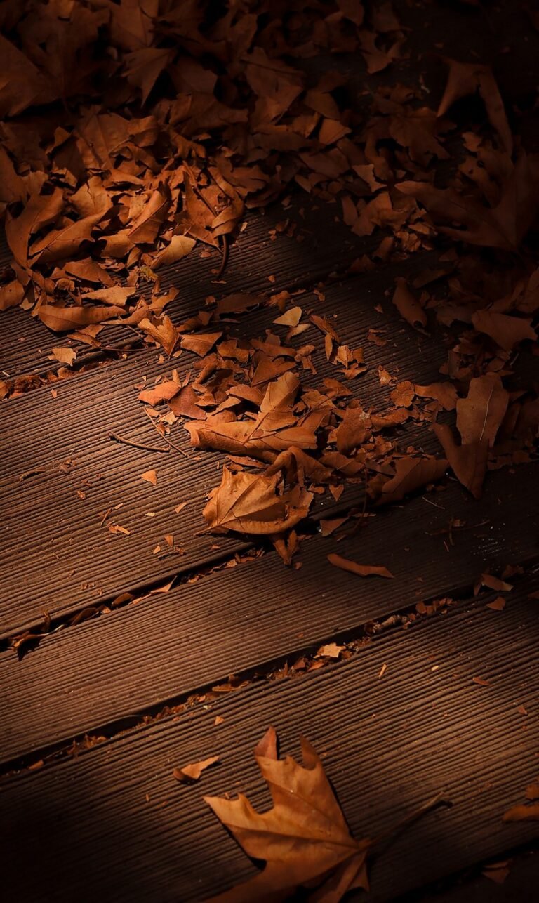4k wallpaper phone nature