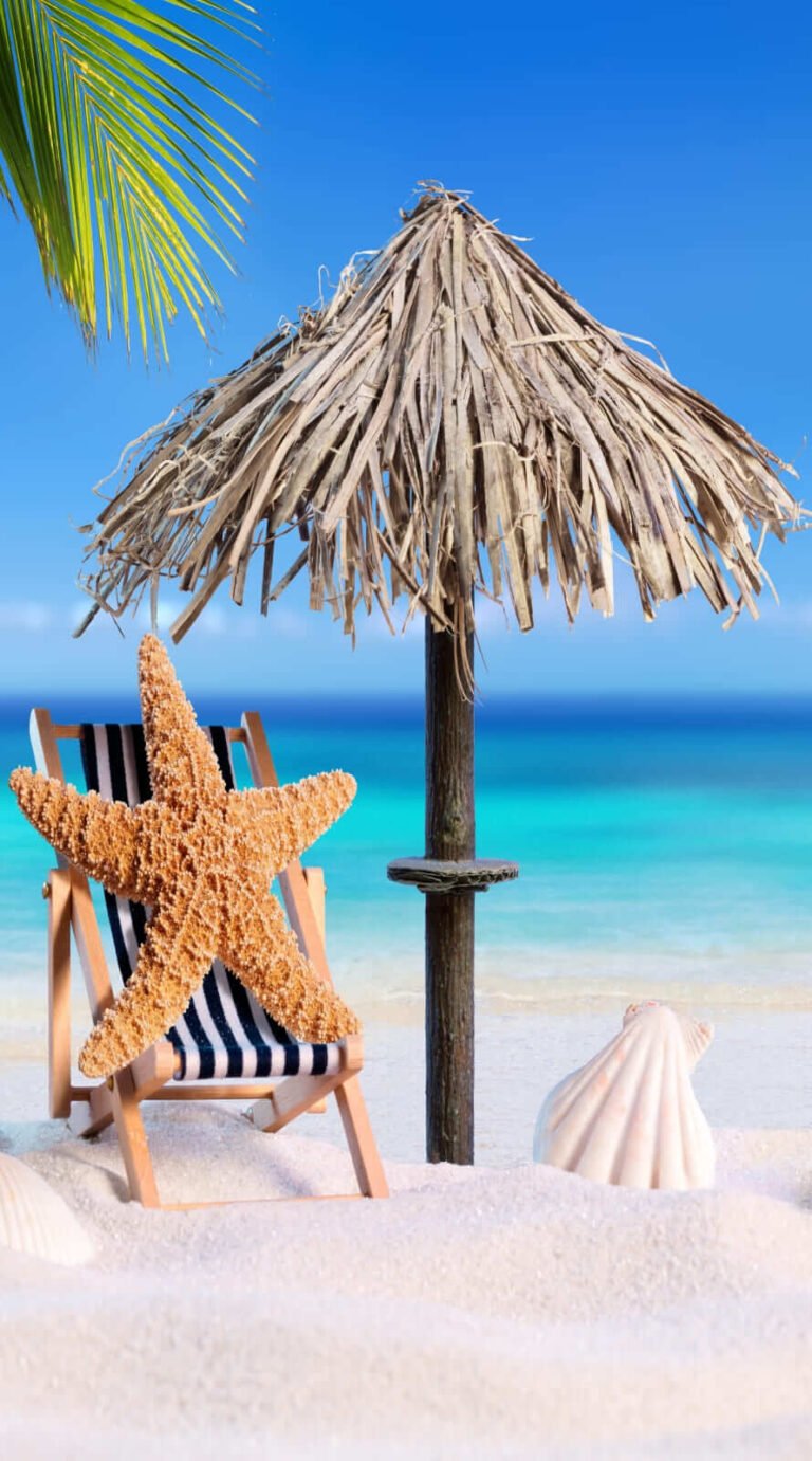 Beautiful summer wallpaper iphone Best summer background for Phone