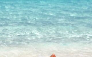 Bech romantic Super Cute summer wallpaper iphone Best summer backgrounds for all Phones