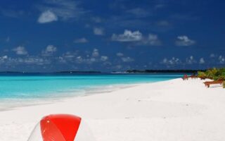 Cat in bech Super Cute summer wallpaper iphone Best summer backgrounds