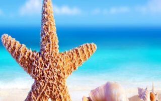 Cool summer wallpaper iphone Best summer background for all Phone