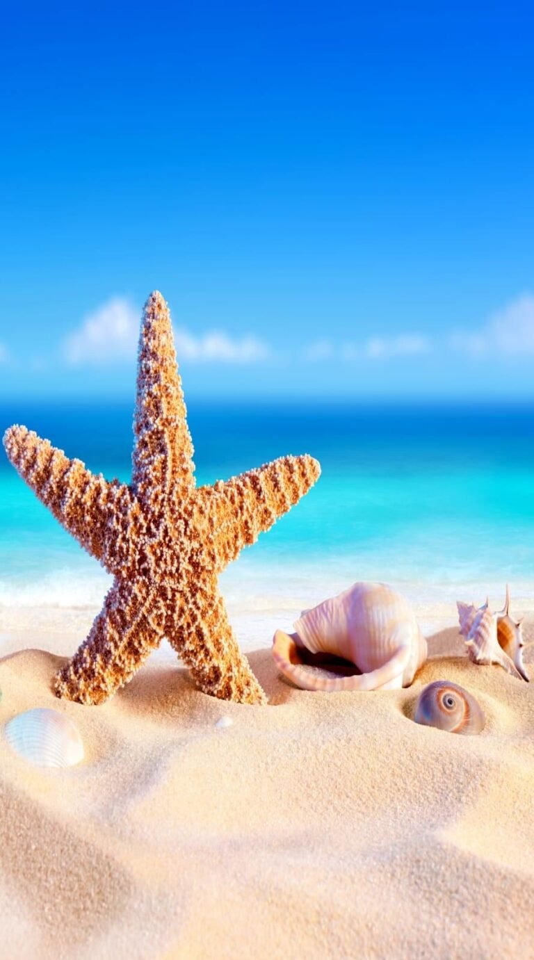 Cool summer wallpaper iphone Best summer background for all Phone