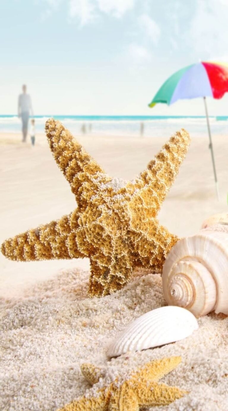 Preppy and Cute summer wallpaper iphone Best summer background