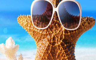 Super Cool summer wallpaper iphone Best summer background for all Phone
