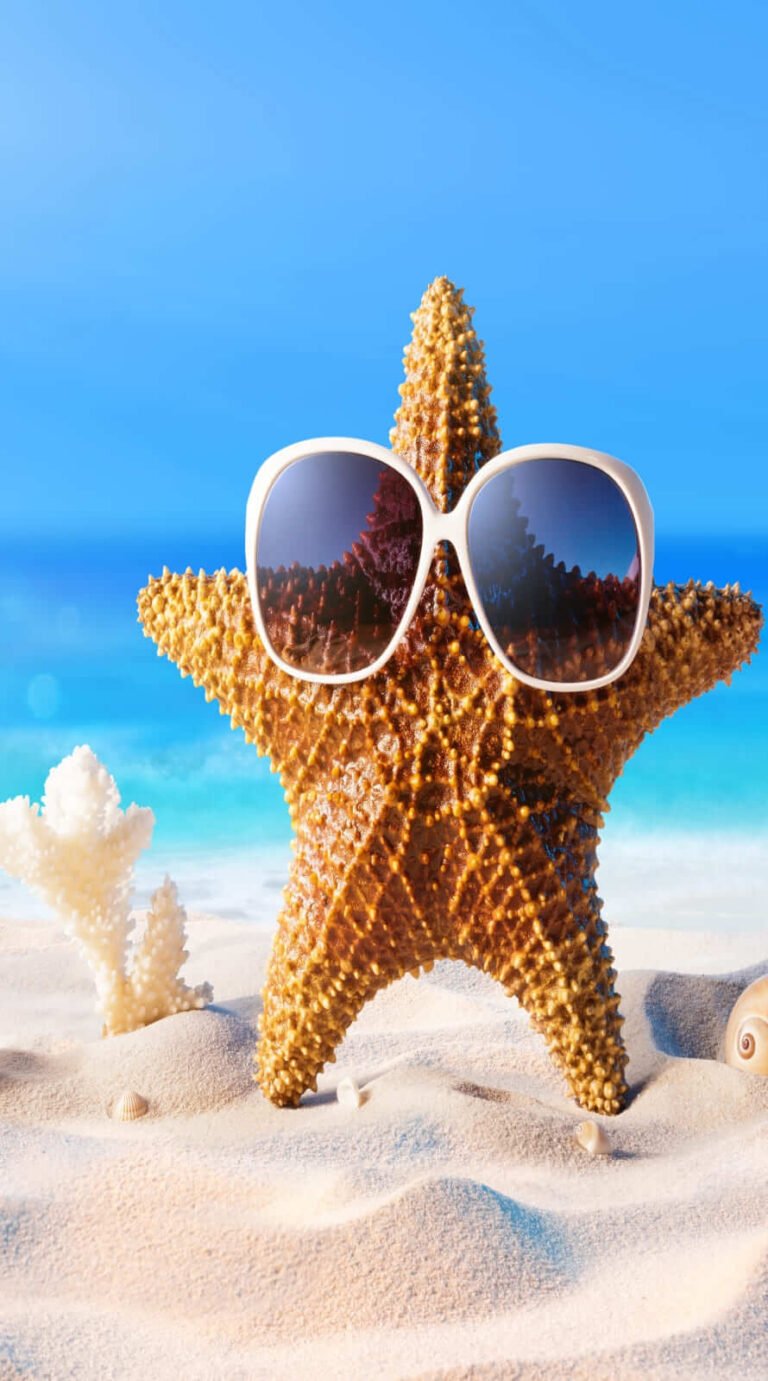 Super Cool summer wallpaper iphone Best summer background for all Phone