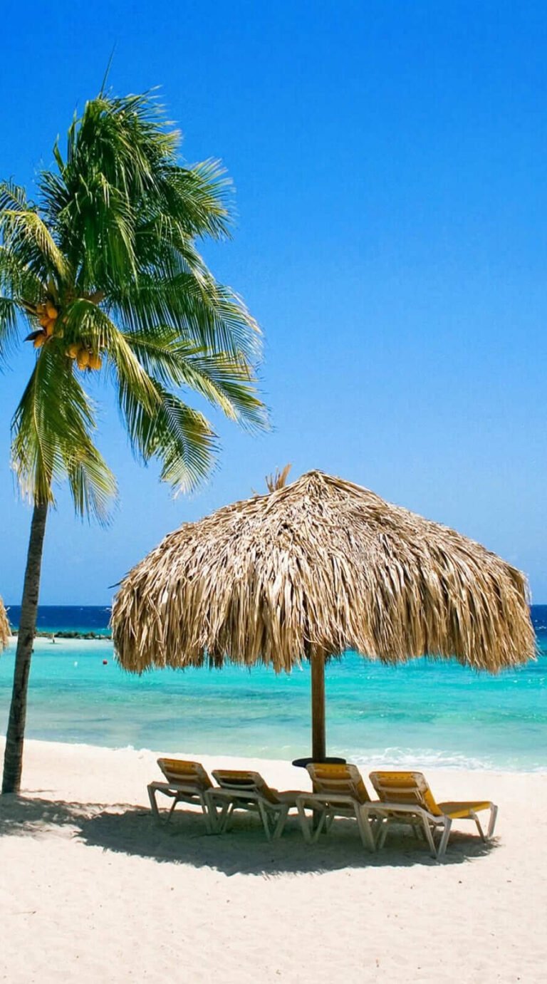 Super Cute summer wallpaper iphone Best summer backgrounds for all Phones
