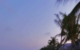 awesome and aesthetic summer wallpaper iphone 13