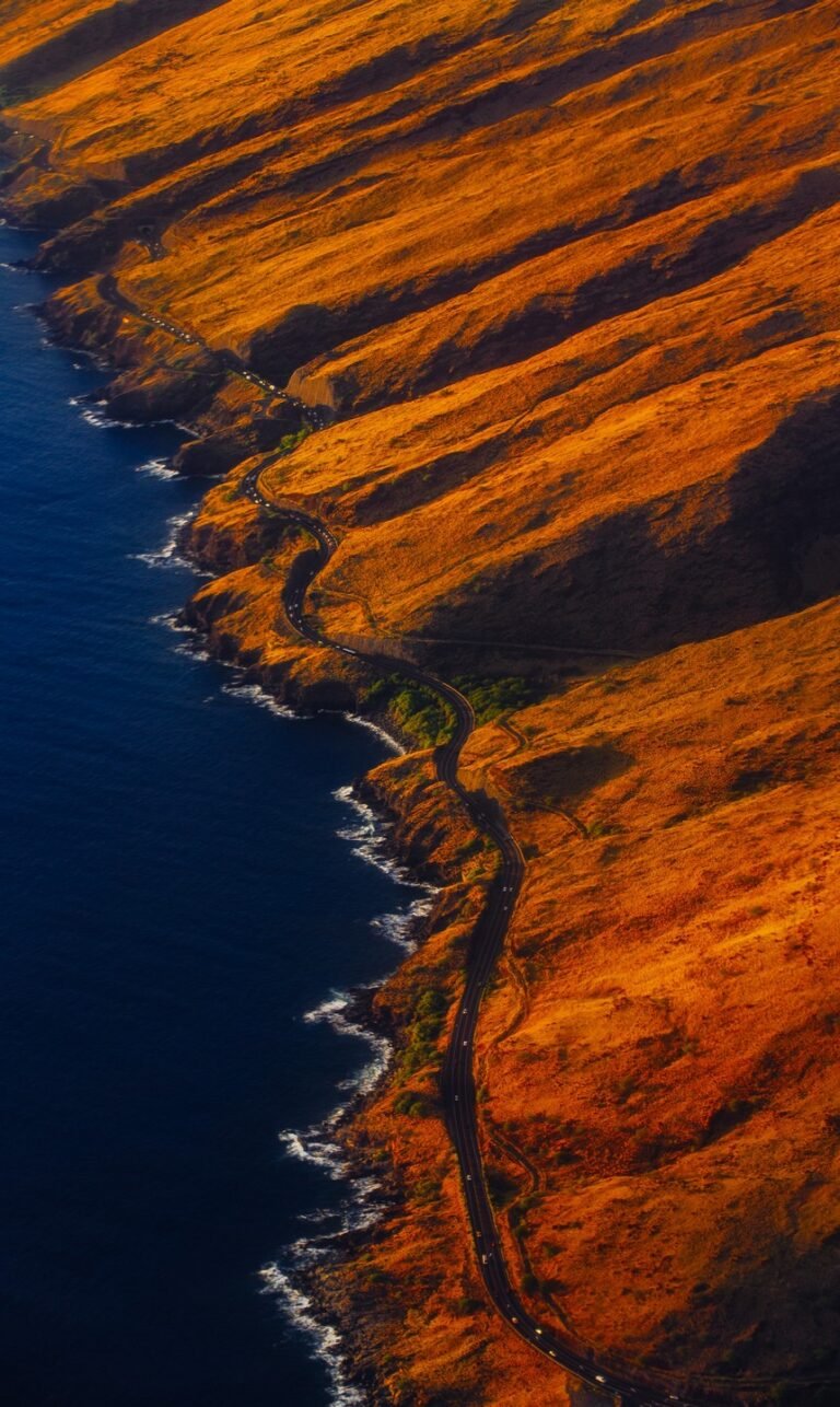 best nature wallpapers for phone