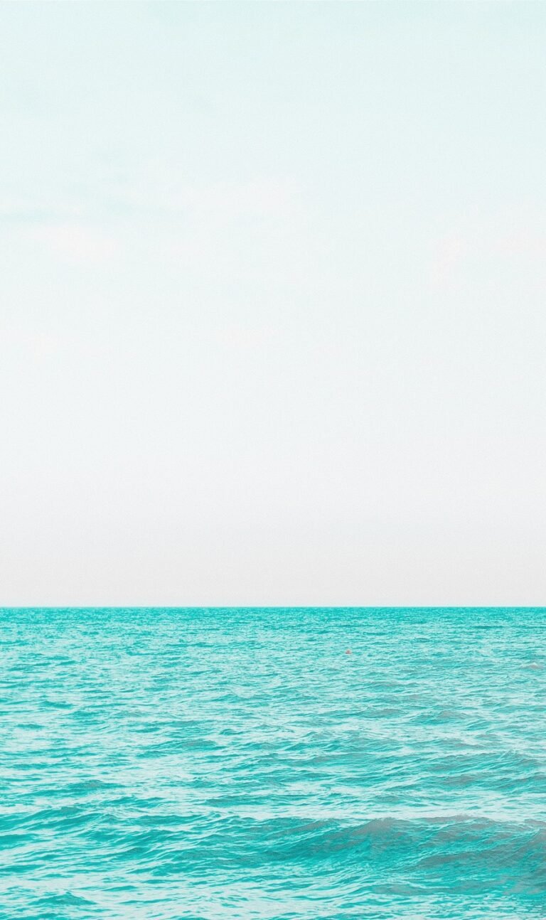 cute minimalist wallpaper for iphone 13 2