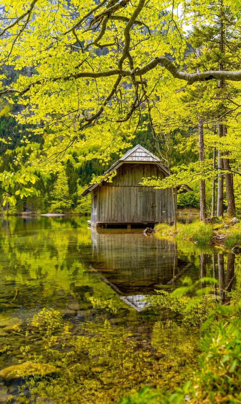 green nature phone wallpaper