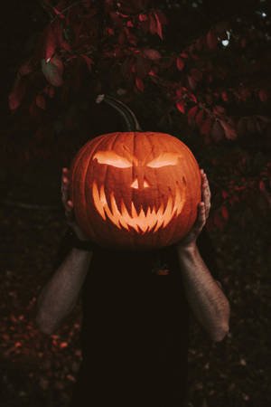 halloween pumpkin cell phone image 4obwmya5fcvwpkfh