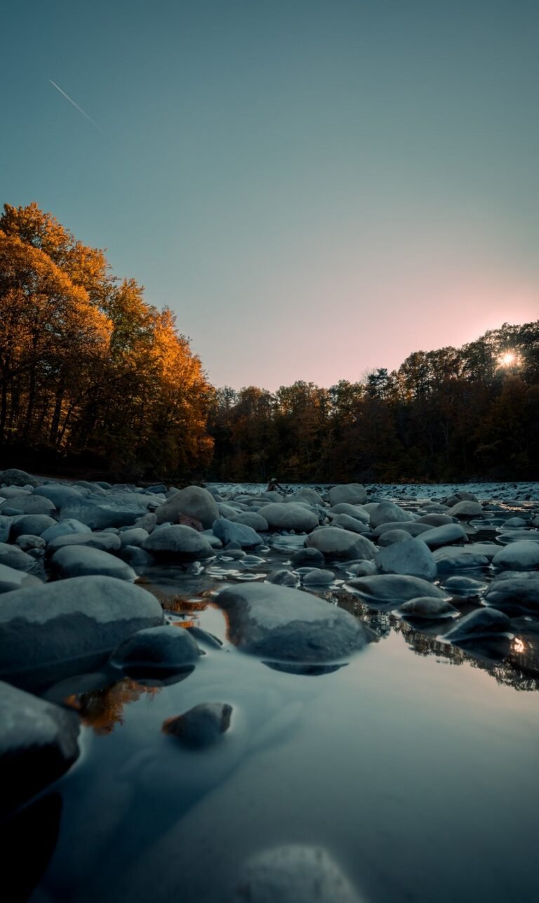 hd nature phone wallpapers