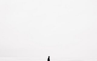 minimalist nature wallpaper phone