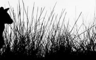 minimalist wallpaper black and white for iphone 13 3