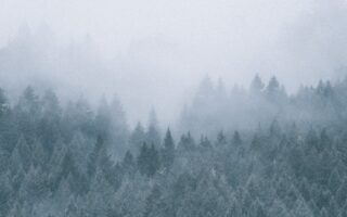 mobile phone nature wallpaper