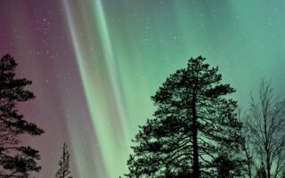 nat geo phone wallpapers