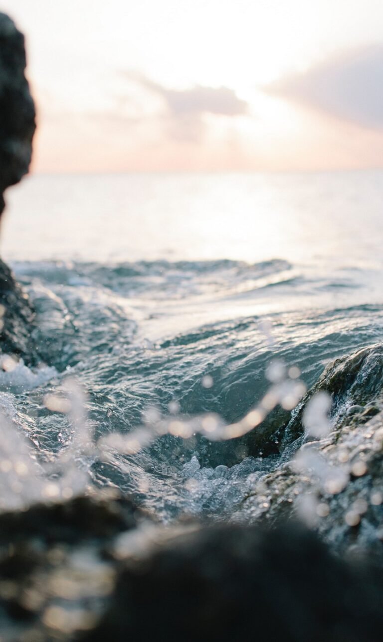nature phone backgrounds