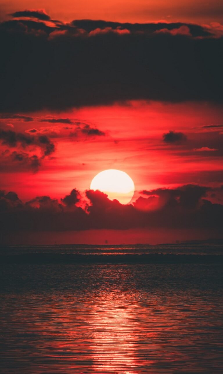 nature pics wallpaper phone