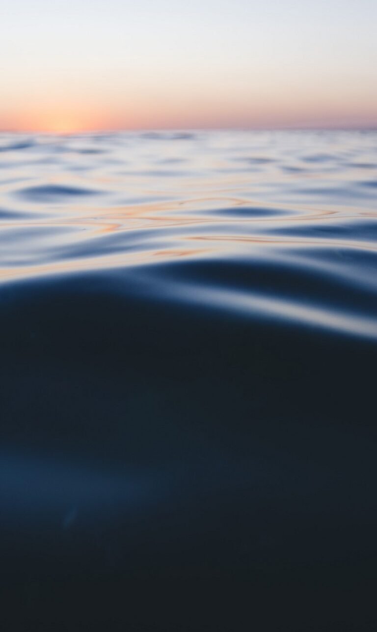 nature wallpaper for phone