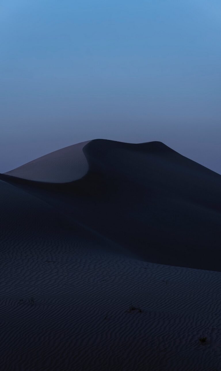 nature wallpaper for phone hd download 1