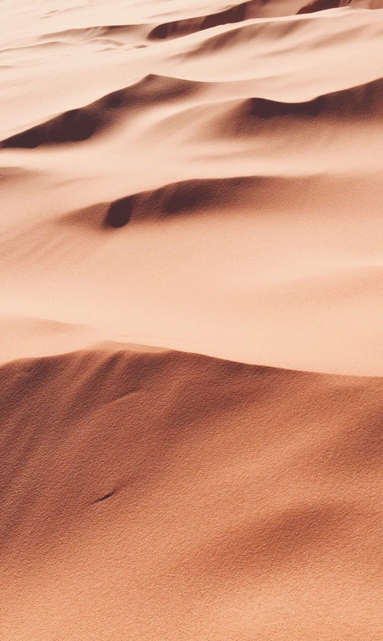nature wallpaper for phone screen