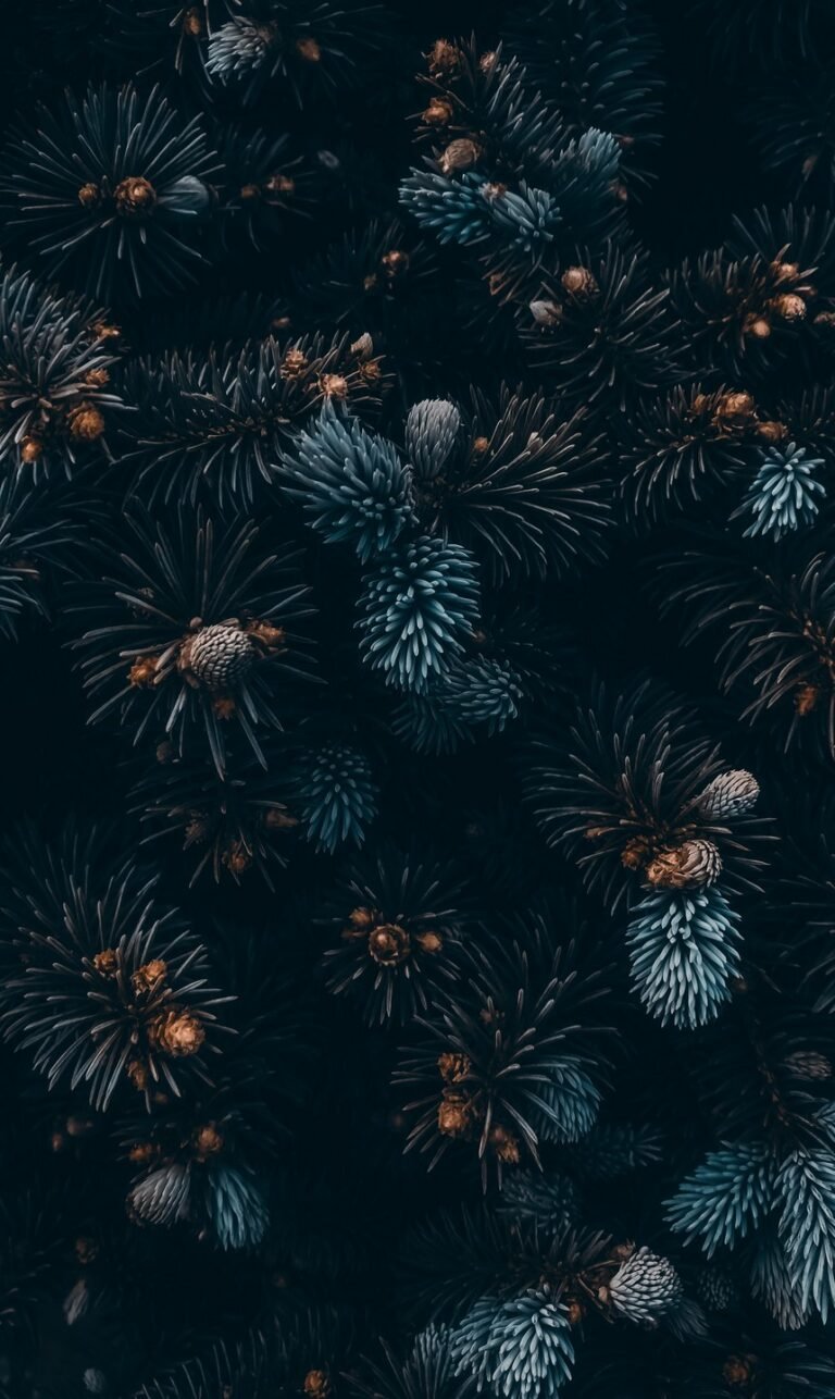 nature wallpaper i phone