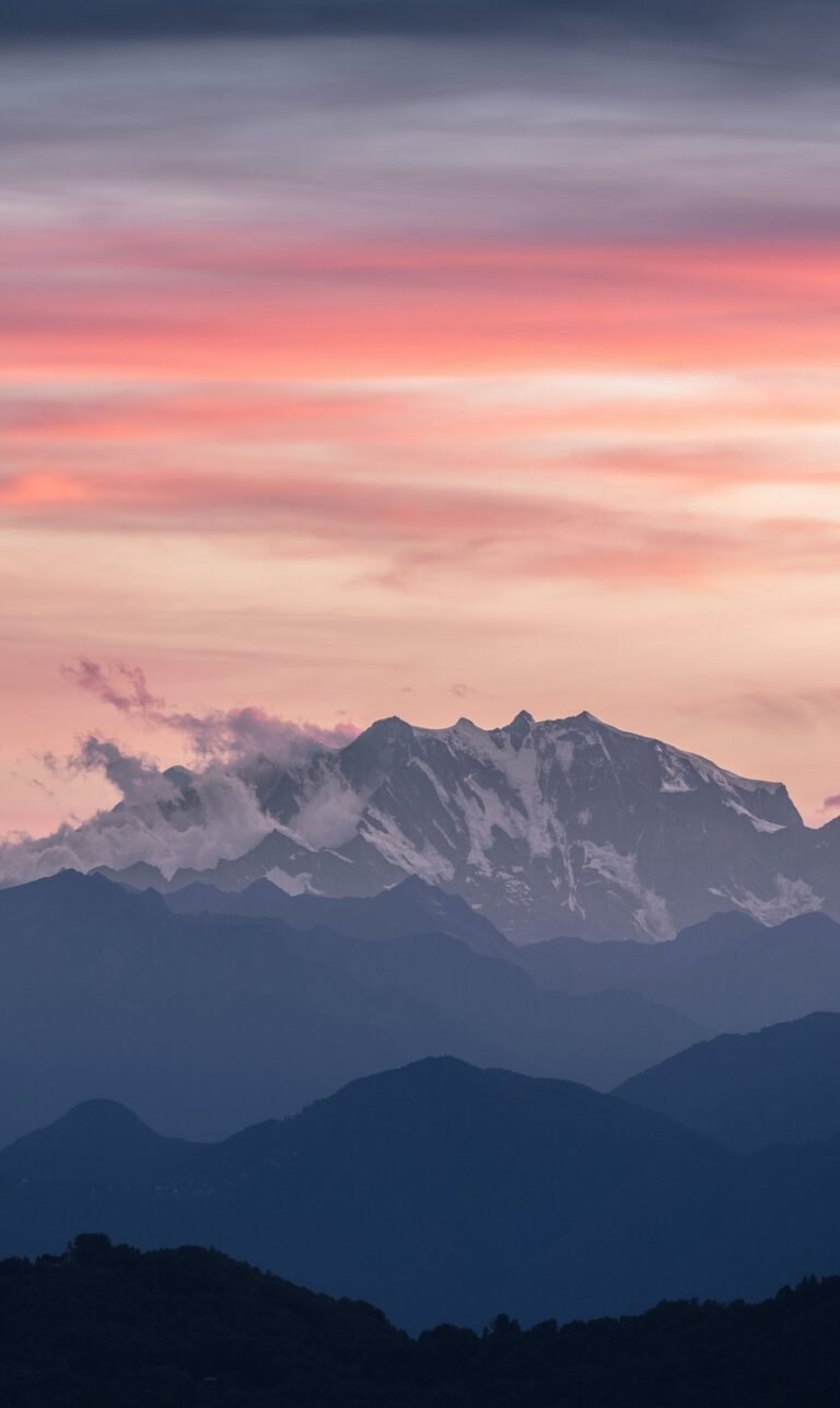 phone wallpaper pink nature