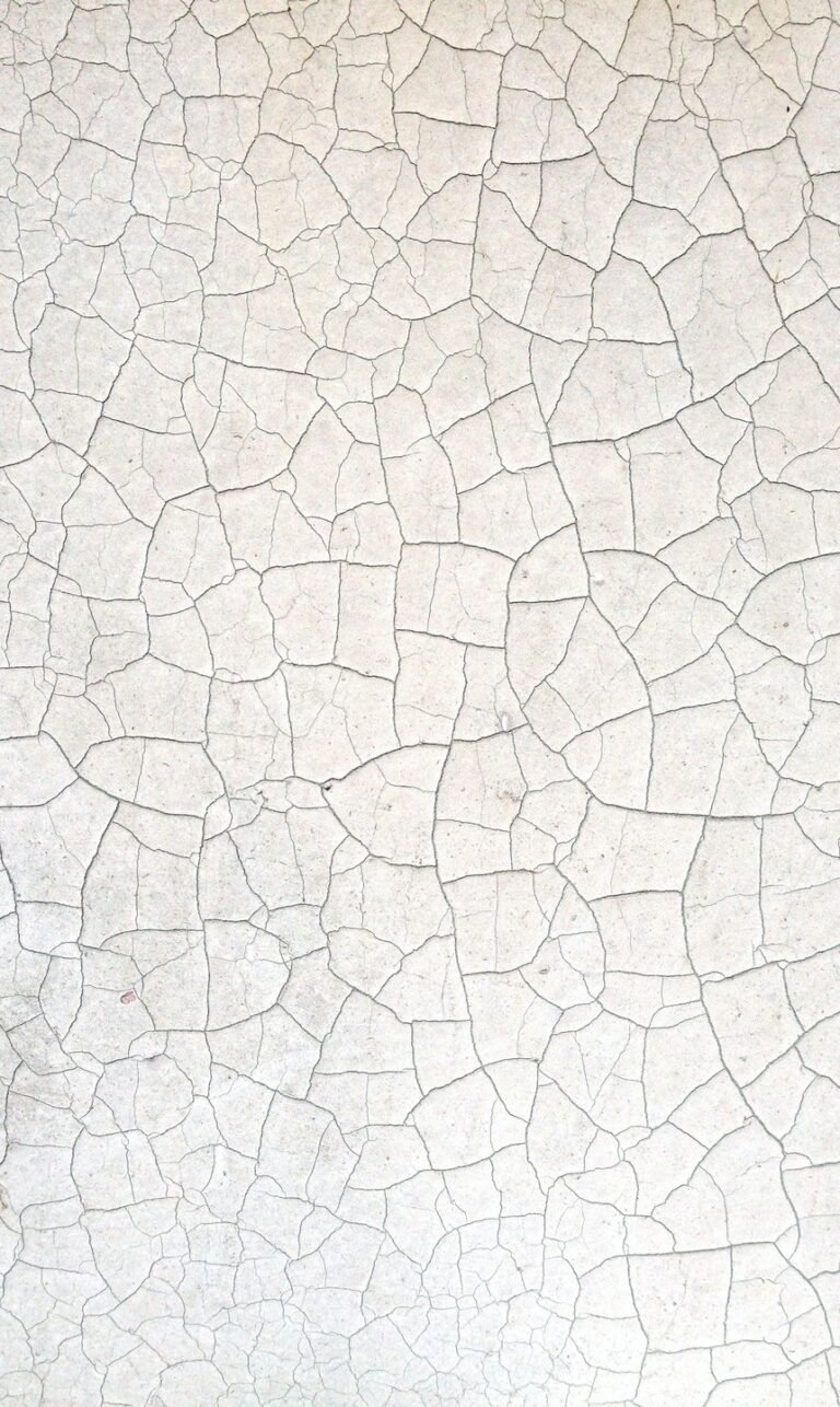 wallpaper for phone screen nature