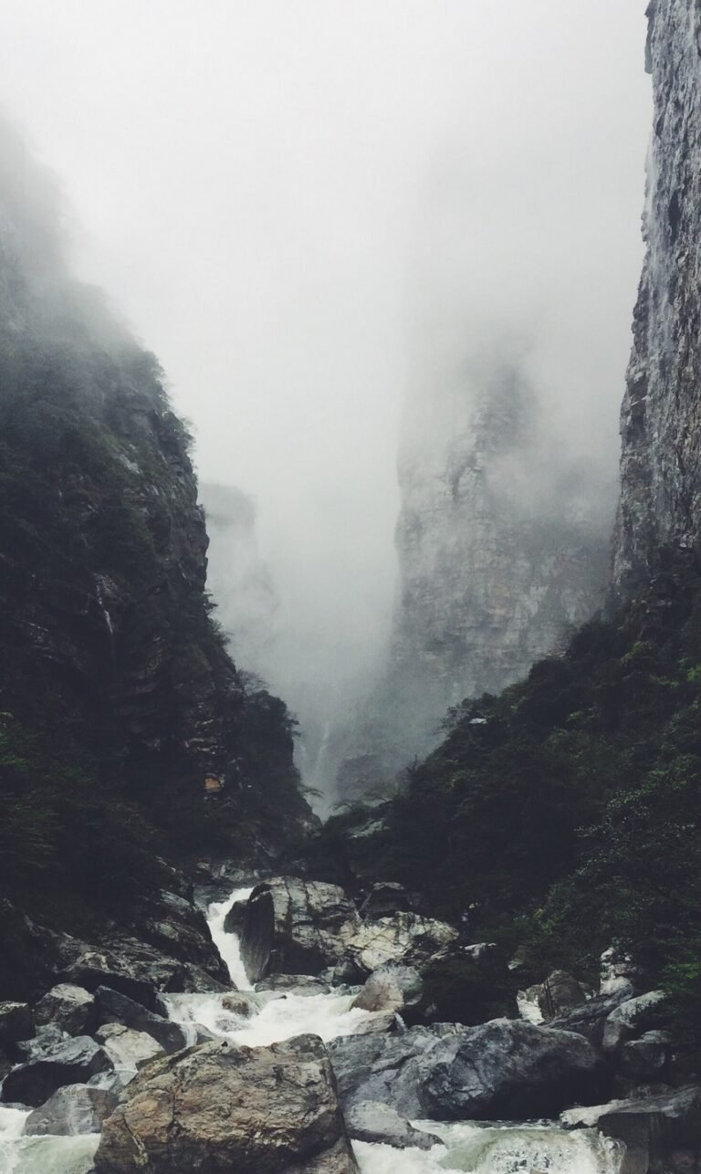 wallpaper iphone nature
