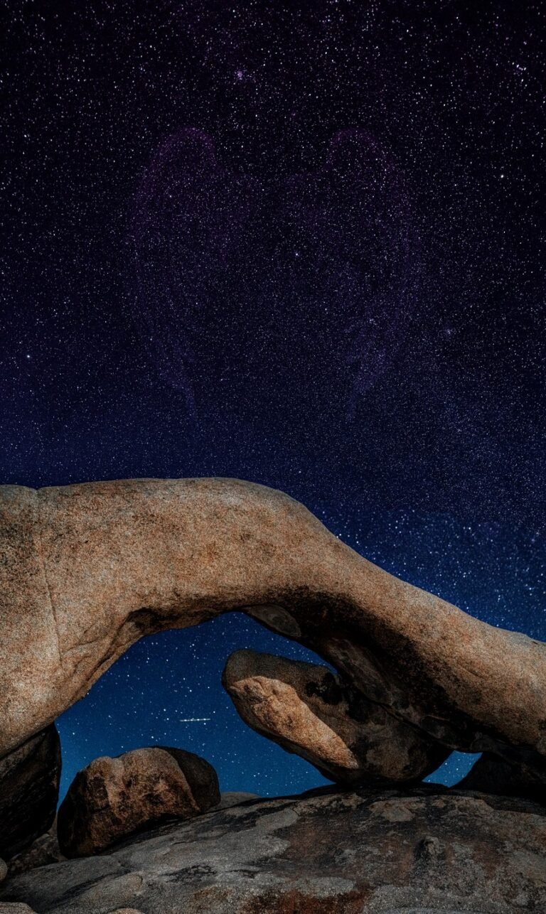 wallpaper phone natur 8k