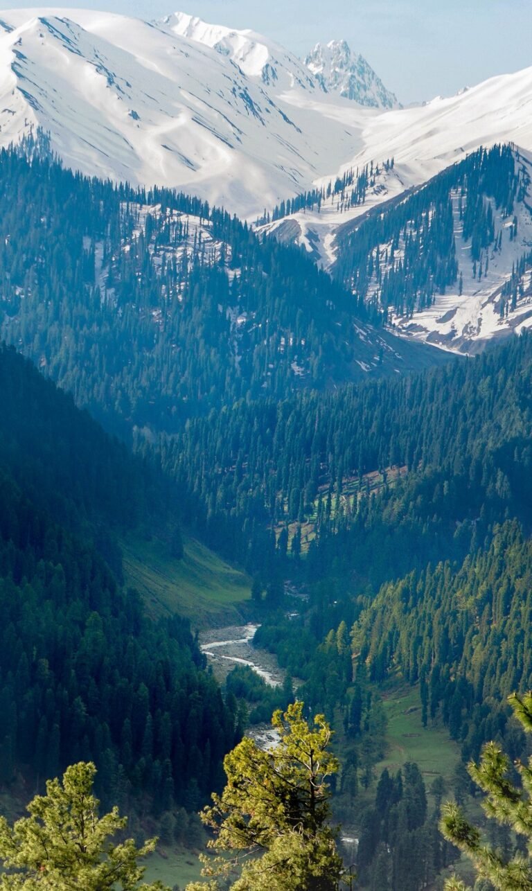 wallpaper phone natur inspired