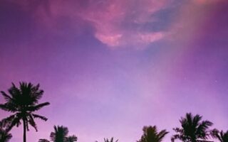 wallpaper phone natur iphone
