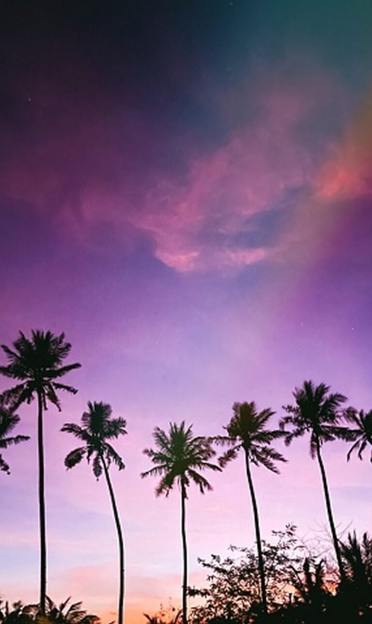 wallpaper phone natur iphone