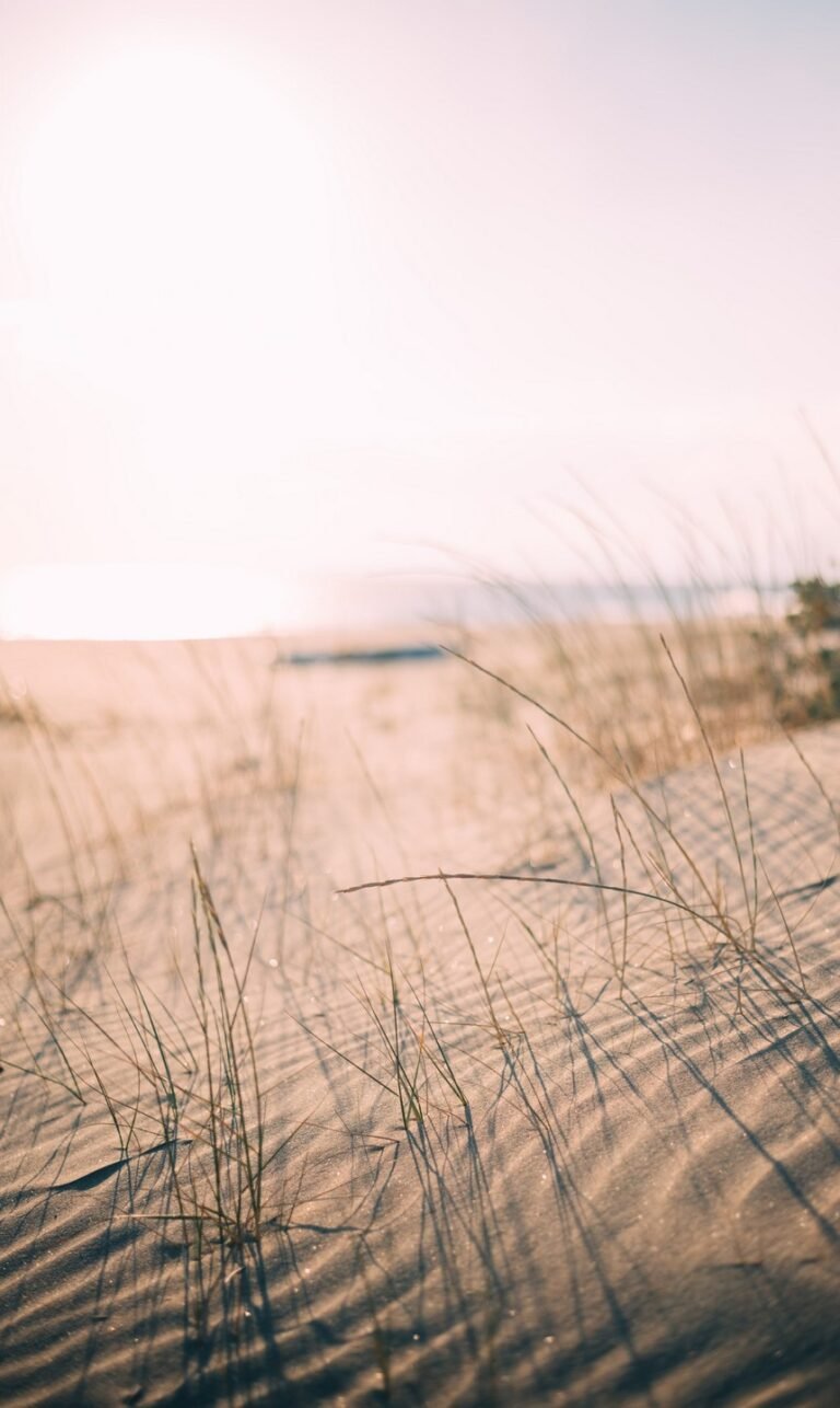 wallpaper phone natur of the day