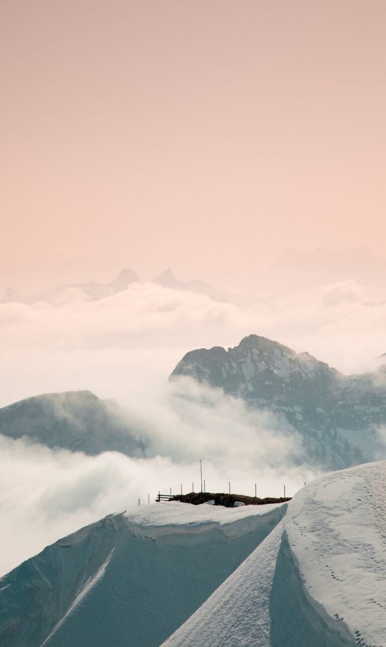 wallpaper phone natur one