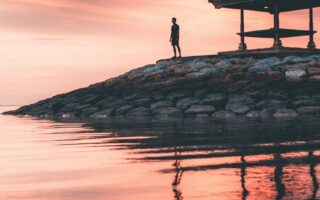 wallpaper phone natur vibe