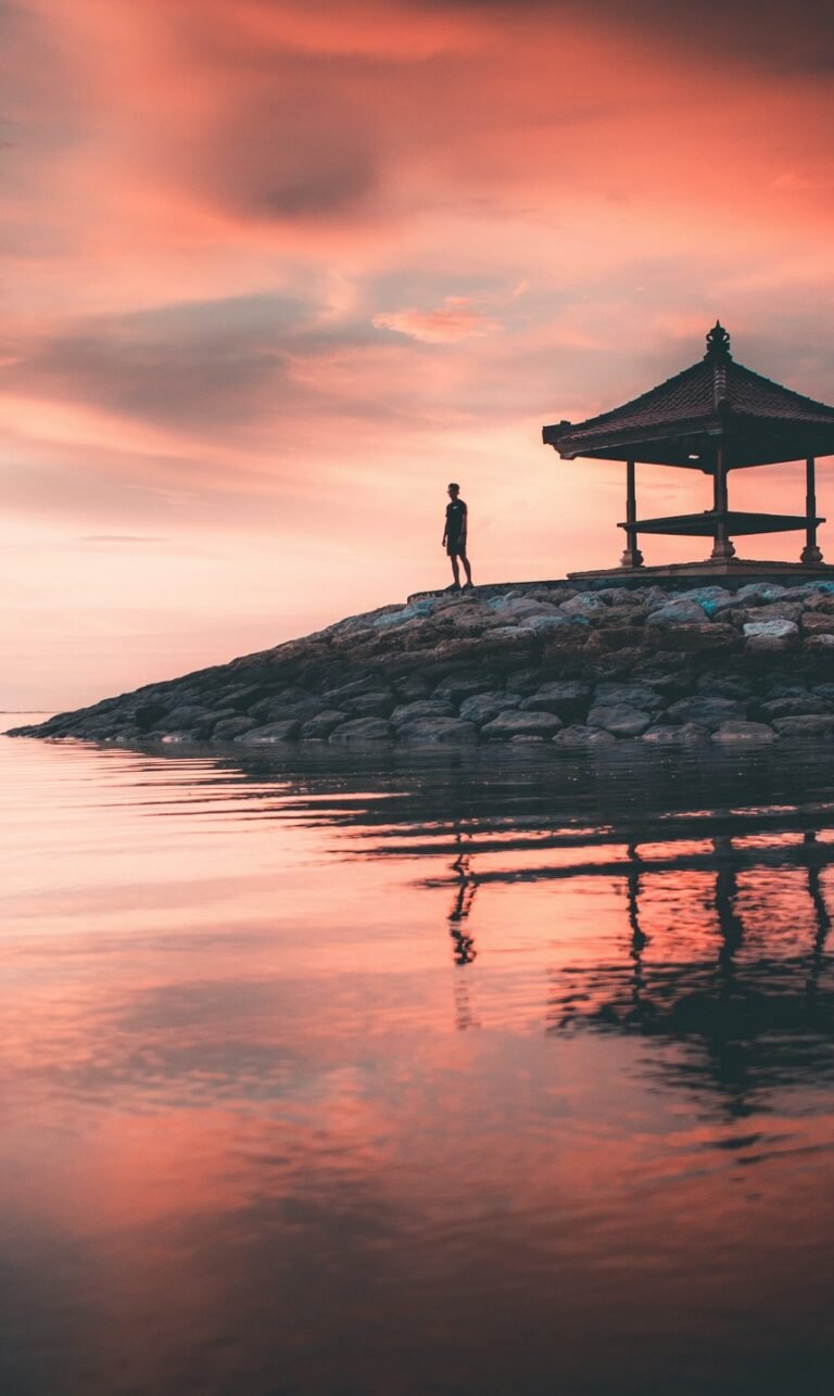 wallpaper phone natur vibe