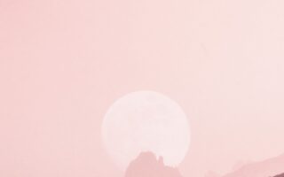 wallpaper phone nature