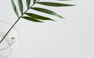 white minimalist wallpaper for iphone 13 1