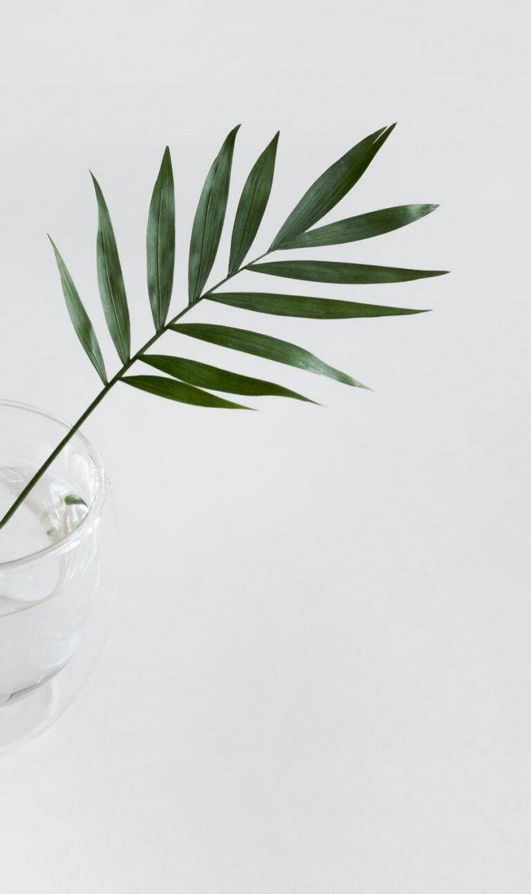 white minimalist wallpaper for iphone 13 1