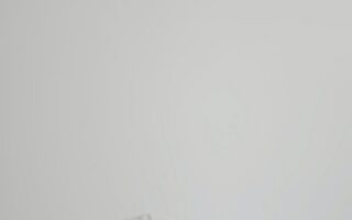 white minimalist wallpaper for iphone 13 hd