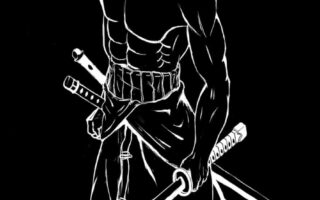Amazing Roronoa zoro minimalist one piece anime character wallpaper iPhone 14 pro Wallpaper 21