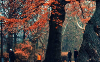 Awesome fall background and lockscreen for iphone 11 wallpaper