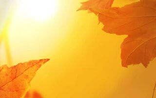 Awesome fall rain wallpaper iphone 14 Background