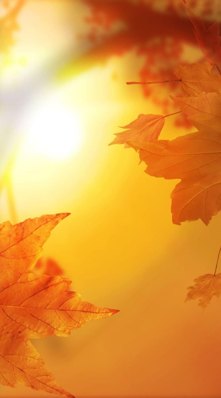 Awesome fall rain wallpaper iphone 14 Background